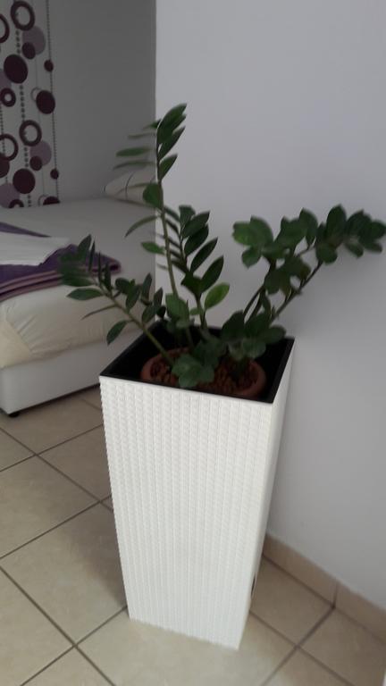 Guesthouse Ivan Skradin Bagian luar foto